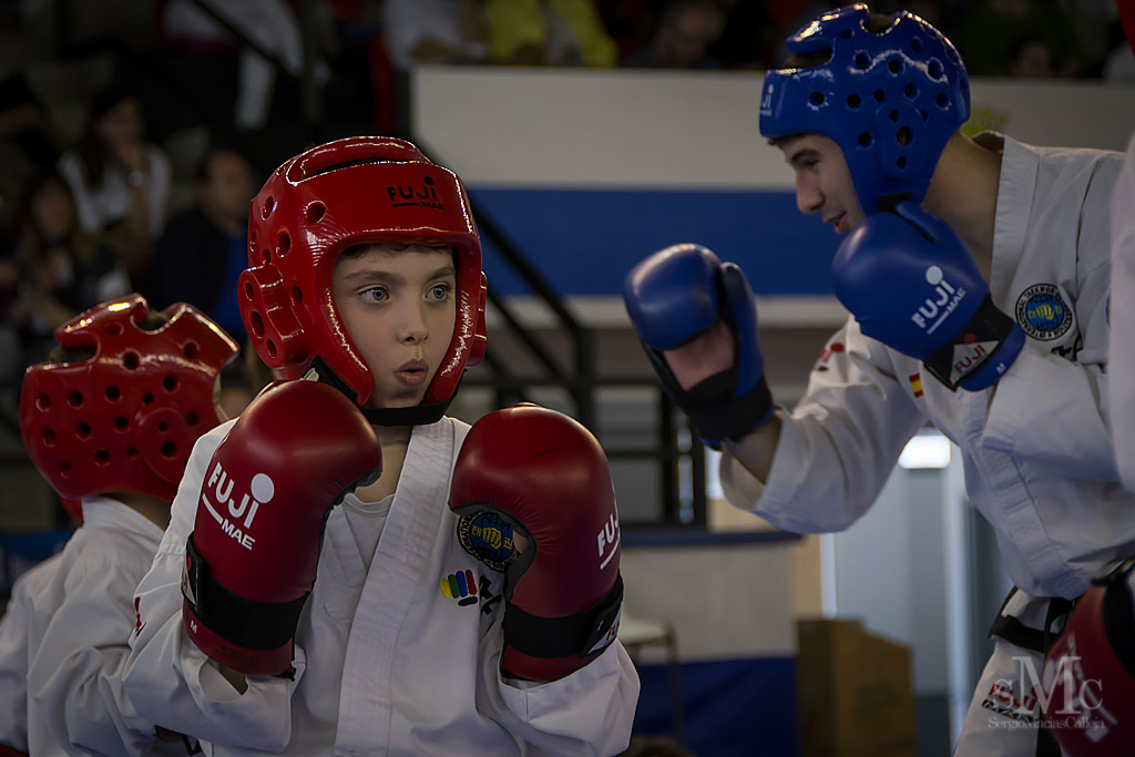 DIA DEL TAEKWONDO ABRIL 2017_3863.JPG